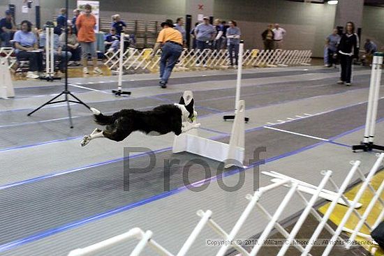 MCRD Unplugged Flyball Tournement<br />March 20th, 2010