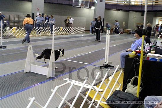 MCRD Unplugged Flyball Tournement<br />March 20th, 2010