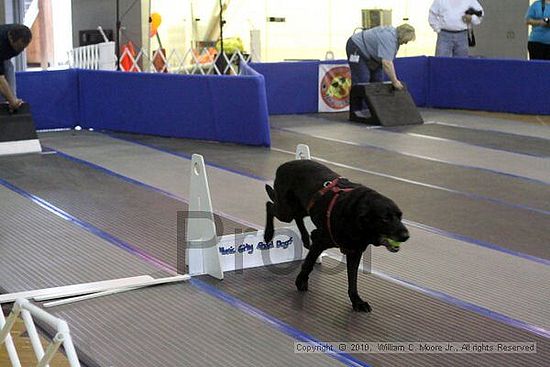 MCRD Unplugged Flyball Tournement<br />March 20th, 2010