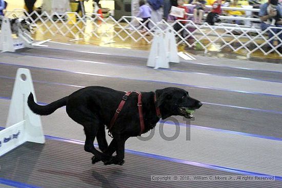 MCRD Unplugged Flyball Tournement<br />March 20th, 2010