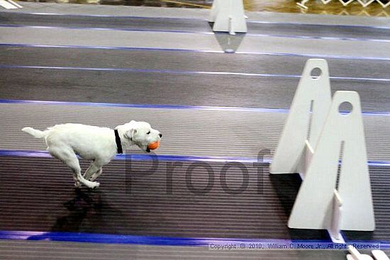 MCRD Unplugged Flyball Tournement<br />March 20th, 2010