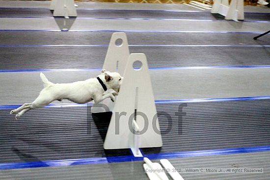 MCRD Unplugged Flyball Tournement<br />March 20th, 2010