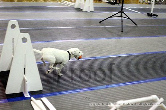 MCRD Unplugged Flyball Tournement<br />March 20th, 2010