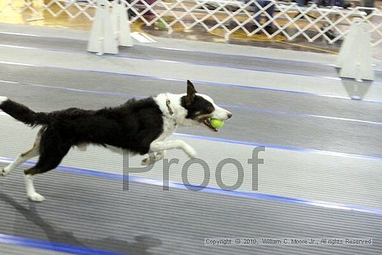 MCRD Unplugged Flyball Tournement<br />March 20th, 2010