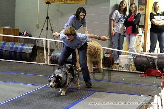 MCRD Unplugged Flyball Tournement<br />March 20th, 2010