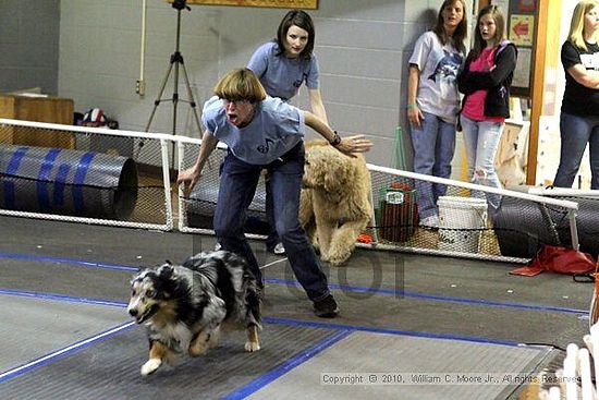 MCRD Unplugged Flyball Tournement<br />March 20th, 2010