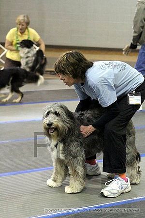 MCRD Unplugged Flyball Tournement<br />March 20th, 2010