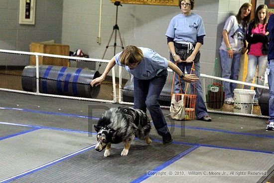 MCRD Unplugged Flyball Tournement<br />March 20th, 2010