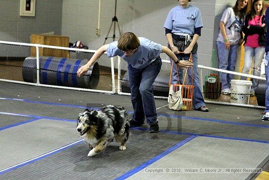 MCRD Unplugged Flyball Tournement<br />March 20th, 2010