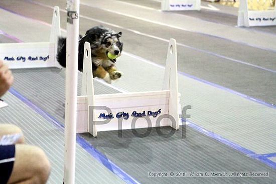 MCRD Unplugged Flyball Tournement<br />March 20th, 2010