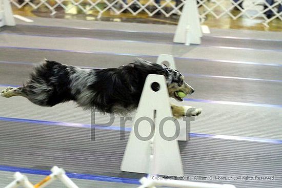 MCRD Unplugged Flyball Tournement<br />March 20th, 2010