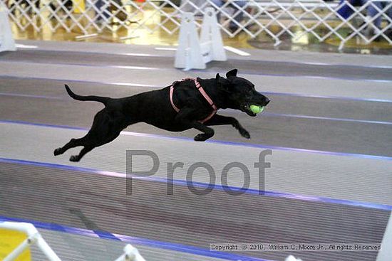 MCRD Unplugged Flyball Tournement<br />March 20th, 2010