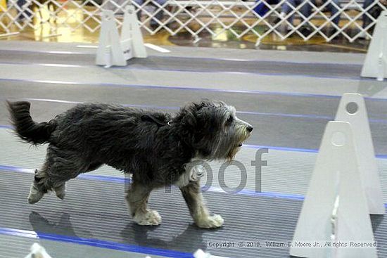 MCRD Unplugged Flyball Tournement<br />March 20th, 2010