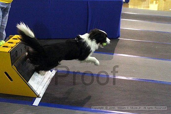 MCRD Unplugged Flyball Tournement<br />March 20th, 2010