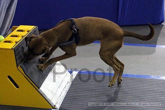 MCRD Unplugged Flyball Tournement<br />March 20th, 2010