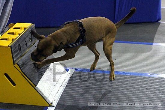 MCRD Unplugged Flyball Tournement<br />March 20th, 2010