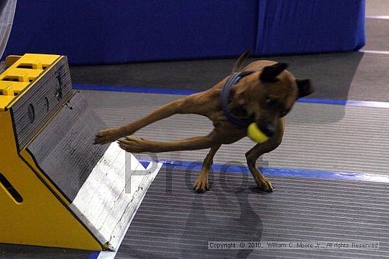 MCRD Unplugged Flyball Tournement<br />March 20th, 2010