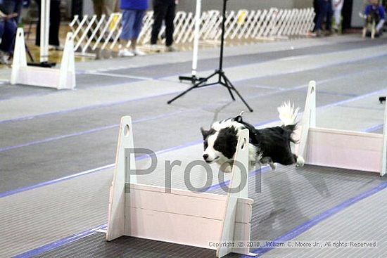 MCRD Unplugged Flyball Tournement<br />March 20th, 2010