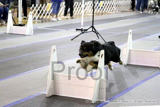 MCRD Unplugged Flyball Tournement<br />March 20th, 2010