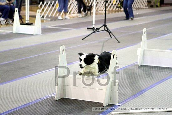 MCRD Unplugged Flyball Tournement<br />March 20th, 2010