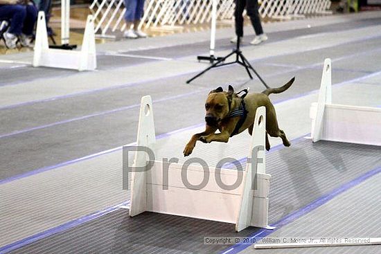 MCRD Unplugged Flyball Tournement<br />March 20th, 2010