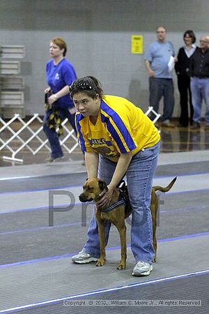 MCRD Unplugged Flyball Tournement<br />March 20th, 2010