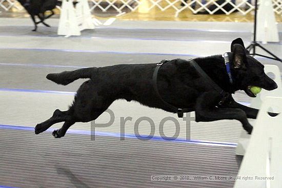 MCRD Unplugged Flyball Tournement<br />March 20th, 2010