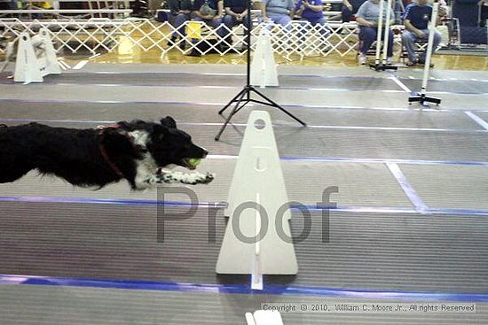 MCRD Unplugged Flyball Tournement<br />March 20th, 2010