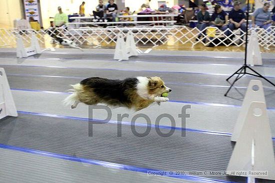 MCRD Unplugged Flyball Tournement<br />March 20th, 2010