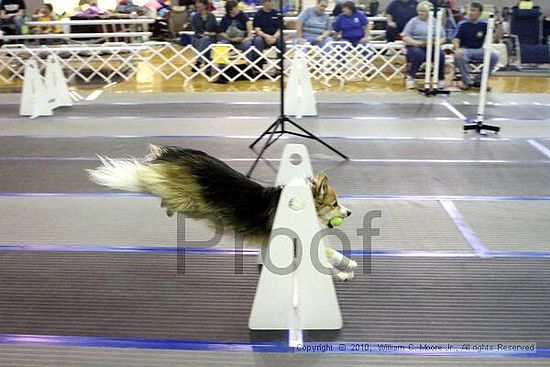 MCRD Unplugged Flyball Tournement<br />March 20th, 2010