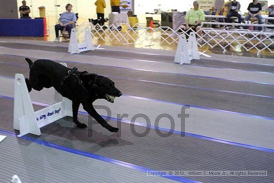 MCRD Unplugged Flyball Tournement<br />March 20th, 2010