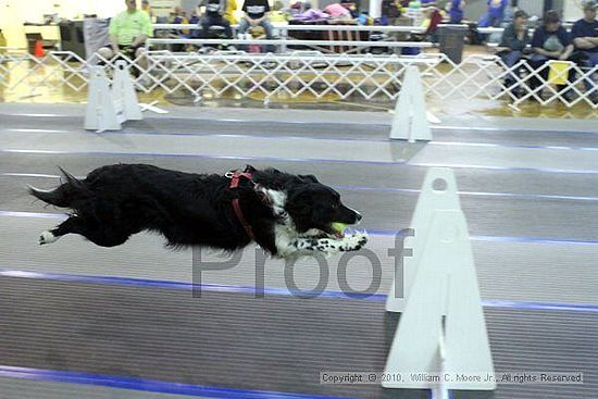 MCRD Unplugged Flyball Tournement<br />March 20th, 2010