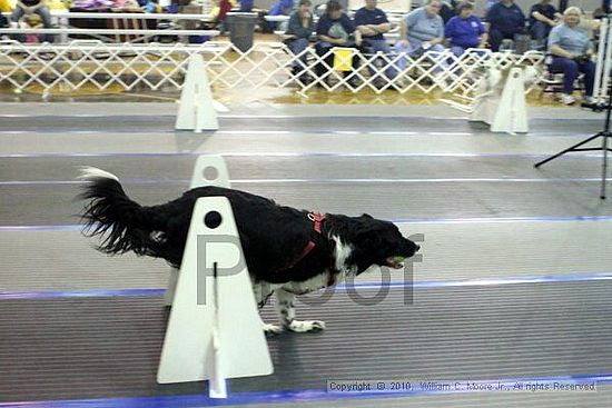 MCRD Unplugged Flyball Tournement<br />March 20th, 2010