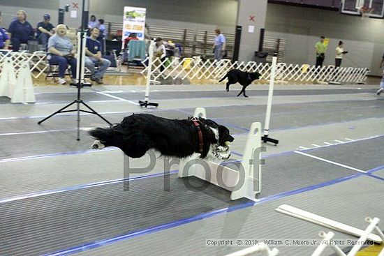 MCRD Unplugged Flyball Tournement<br />March 20th, 2010