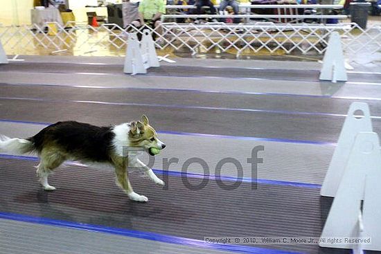 MCRD Unplugged Flyball Tournement<br />March 20th, 2010