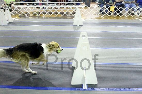 MCRD Unplugged Flyball Tournement<br />March 20th, 2010