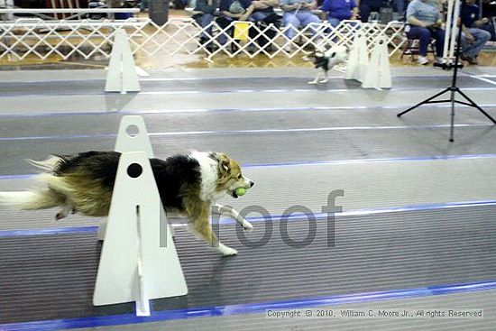 MCRD Unplugged Flyball Tournement<br />March 20th, 2010