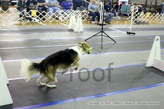 MCRD Unplugged Flyball Tournement<br />March 20th, 2010