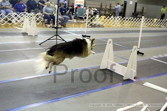 MCRD Unplugged Flyball Tournement<br />March 20th, 2010