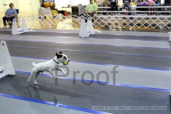 MCRD Unplugged Flyball Tournement<br />March 20th, 2010