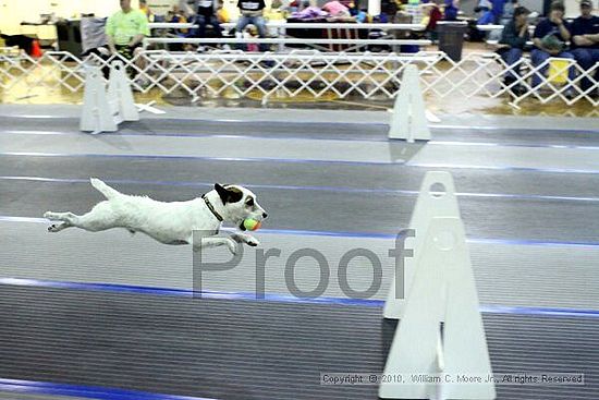 MCRD Unplugged Flyball Tournement<br />March 20th, 2010