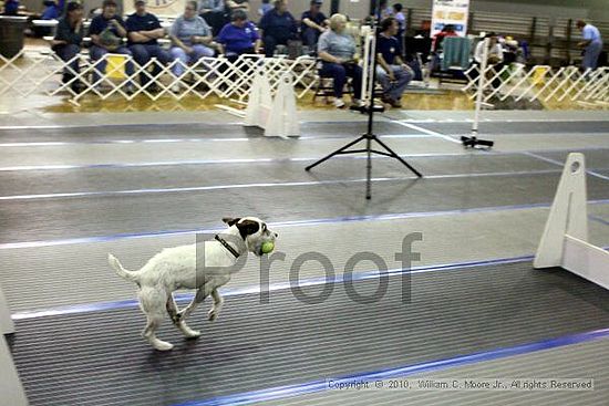 MCRD Unplugged Flyball Tournement<br />March 20th, 2010