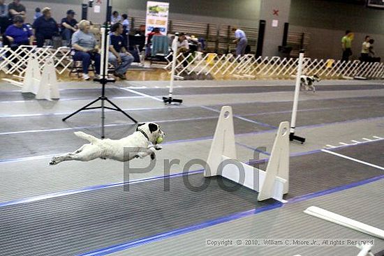 MCRD Unplugged Flyball Tournement<br />March 20th, 2010