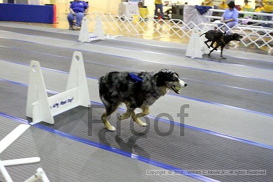 MCRD Unplugged Flyball Tournement<br />March 20th, 2010