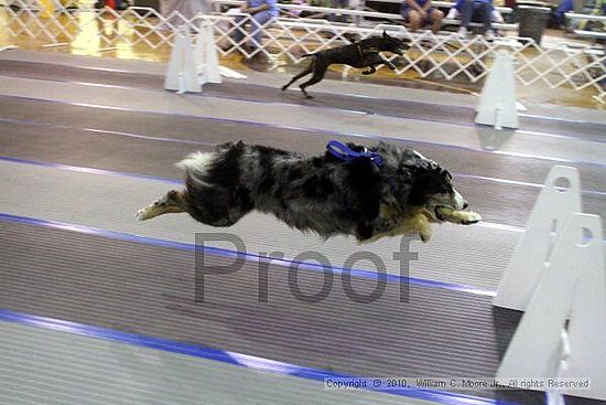 MCRD Unplugged Flyball Tournement<br />March 20th, 2010