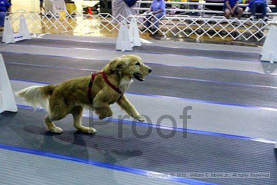 MCRD Unplugged Flyball Tournement<br />March 20th, 2010