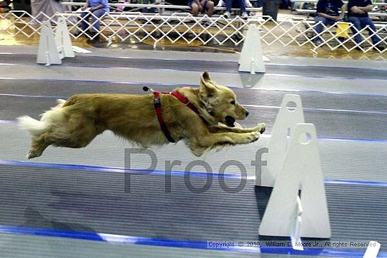 MCRD Unplugged Flyball Tournement<br />March 20th, 2010