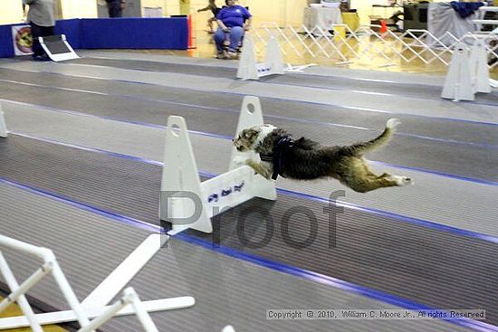 MCRD Unplugged Flyball Tournement<br />March 20th, 2010