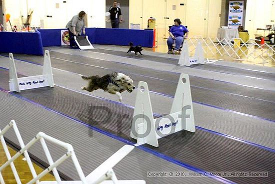 MCRD Unplugged Flyball Tournement<br />March 20th, 2010