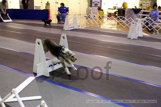 MCRD Unplugged Flyball Tournement<br />March 20th, 2010